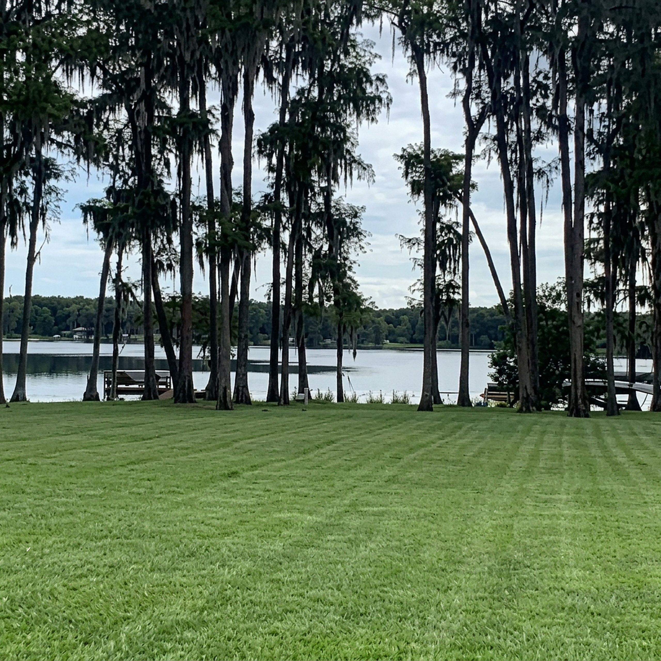 Lakefront lawn install with fresh sod